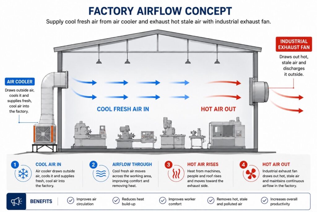 Factory airflow concept showing an air cooler supplying cool fresh air into a factory and an industrial exhaust fan removing hot air